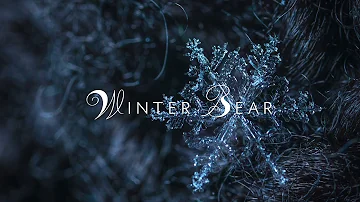 "Winter Bear" by V - Orchestral Cover