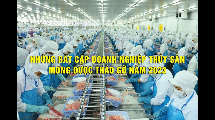 Top doanh nghiệp thủy sản việt nam nam 2023 năm 2024