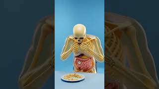 Que pasa a tu cuerpo si comes rápido? #comida #datoscurisos #sabiasque #food #cocina