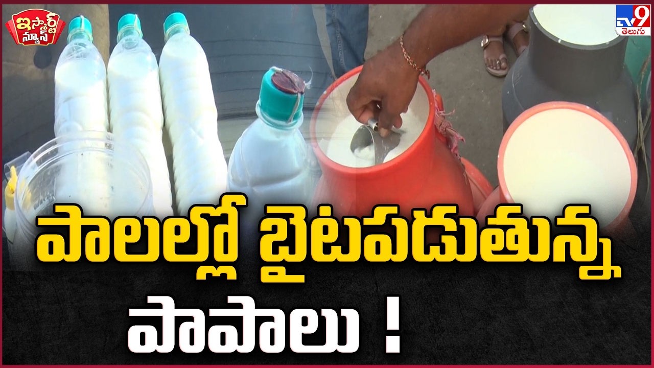 iSmart News : పాలల్లో బైటపడుతున్న పాపాలు ! | Adulterated Milk  - TV9