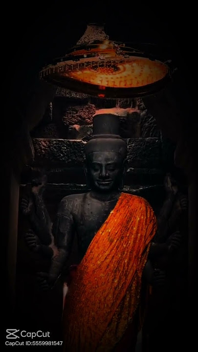 lvtemp 122df316 36ff 4a75 9167 589ba64275d05