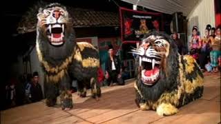 Pencak silat TRI TUNGGAL BARONGSAI