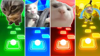 Chipi Chipi Chapa Chapa Cat vs Driving Cat vs Vibing Cat vs Banana Cat - Tiles Hop EDM Rush