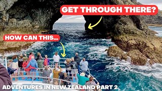 Exploring New Zealand’s North Island’s INCREDIBLE highlights. Let us take you there!