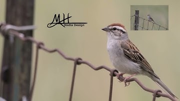 Fix a Dark Pic in Minutes with Darktable!