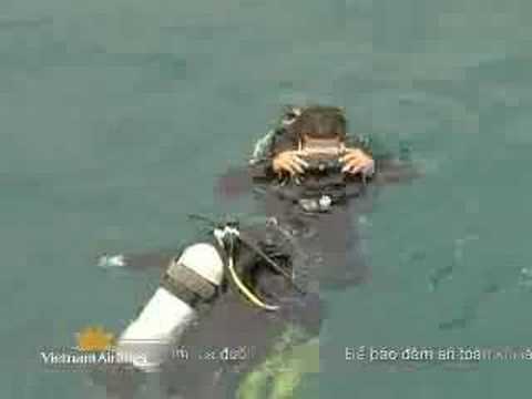 lan bien nha trang New 2022 Lặn biển Nha Trang