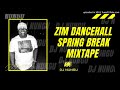 ZIM DANCEHALL SPRING BREAK MIXTAPE BY DJ NUNGU (OCTOBER 2020)