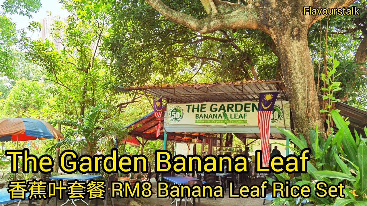百鸟交响乐中享受素食香蕉叶饭vegetarian Banana Leaf Set For Rm8 Penang Street Food Malaysia Youtube