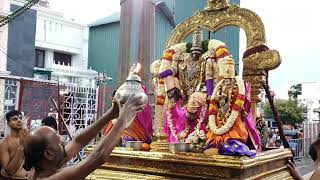 Tiruvallikeni Sri Parthasarathy Perumal Vasantha Urchavam Day 6