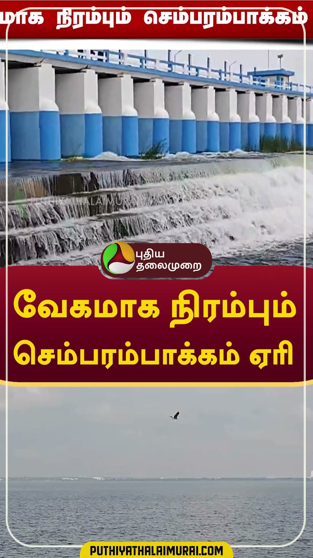 வேகமாக நிரம்பும் செம்பரம்பாக்கம் ஏரி  #shorts  #rain #weather