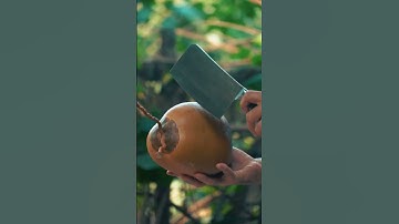 " How to cut coconut and enjoy a fresh drink like a Boss! (Shorts)