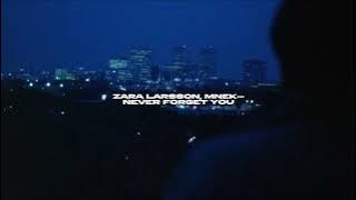 Download lagu zara larsson, mnek - never forget you (sped up reverb)