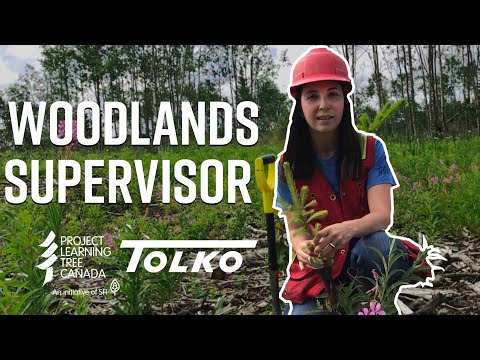 A Day in the Life of a Woodlands Supervisor