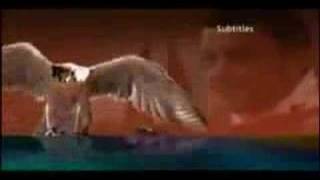 ITV F1 2008 with Snow Patrol Theme