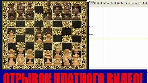 #28. отрывок платного урока. Создание игры шахматы на делфи /