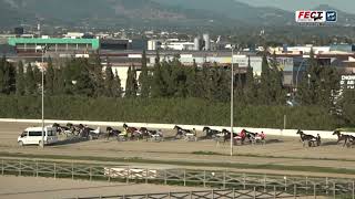 Vidéo de la course PMU PREMI MENHAMMAR STUTERI (NIC HANOVER)