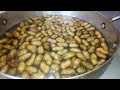 Boiled Peanuts recipe: How to make boiled peanuts at home (How to cook peanuts)