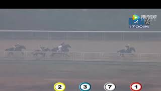 20181222 Special Conditions 1700m (Race 2) 武汉速度赛马公开赛D19 第2场 特别条件赛 1700米