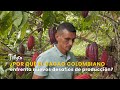 ¿Por qué el cacao colombiano enfrenta nuevos desafíos de producción? - TvAgro por Juan Gonzalo Angel