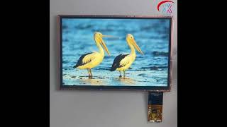 10.1” TFT LCD Display | 1920×1200 IPS Screen with EDP Interface | High-Resolution Industrial Display