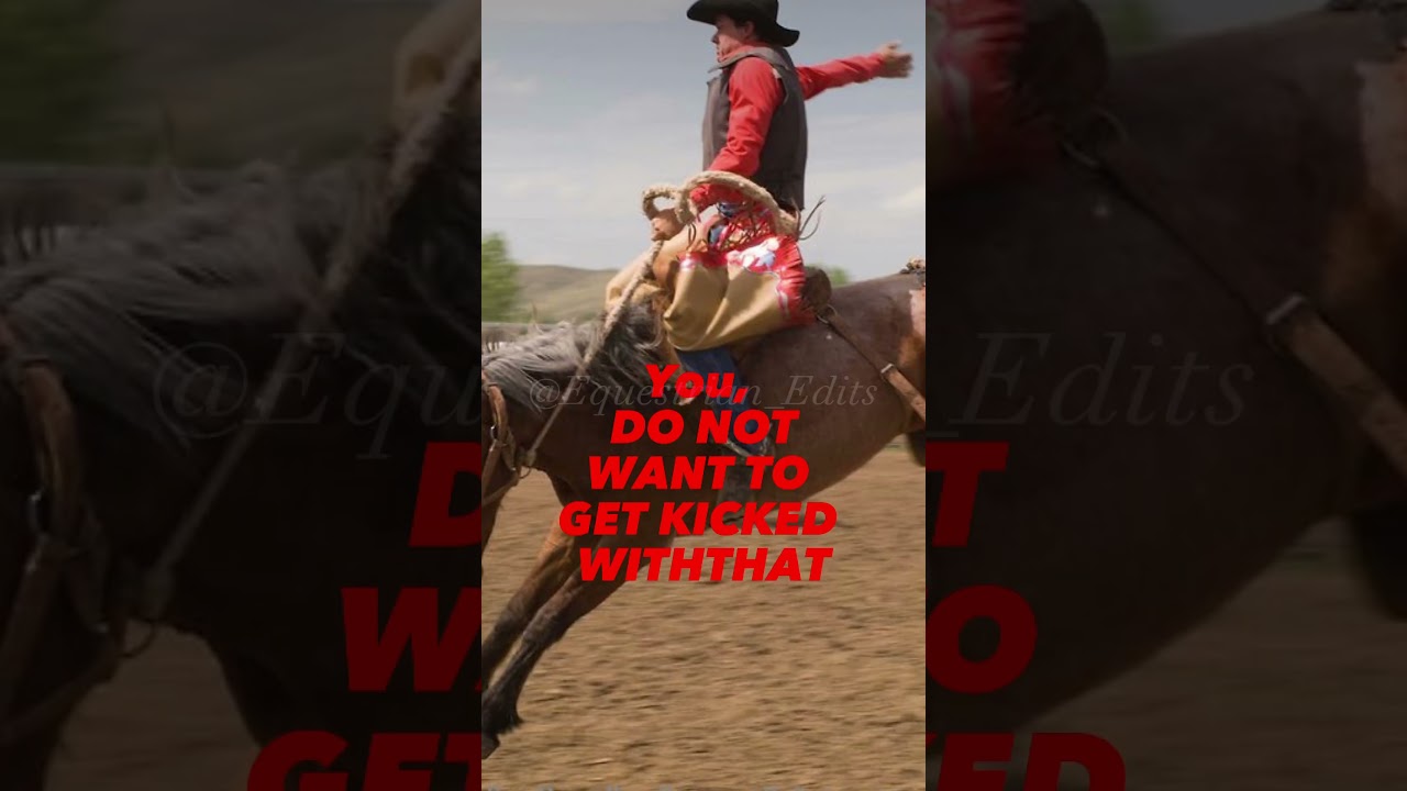 Horse girls…✨explained✨