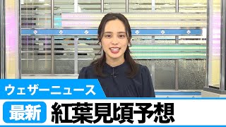 最新！紅葉見頃予想
