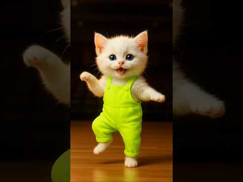 عارف شارع الحلوين        مدينة الجامدين