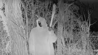 Divinity In Exile - Gods Of Darkness Ft. Blaze Tishko - Metal Worldwide Official Hd Version Mww