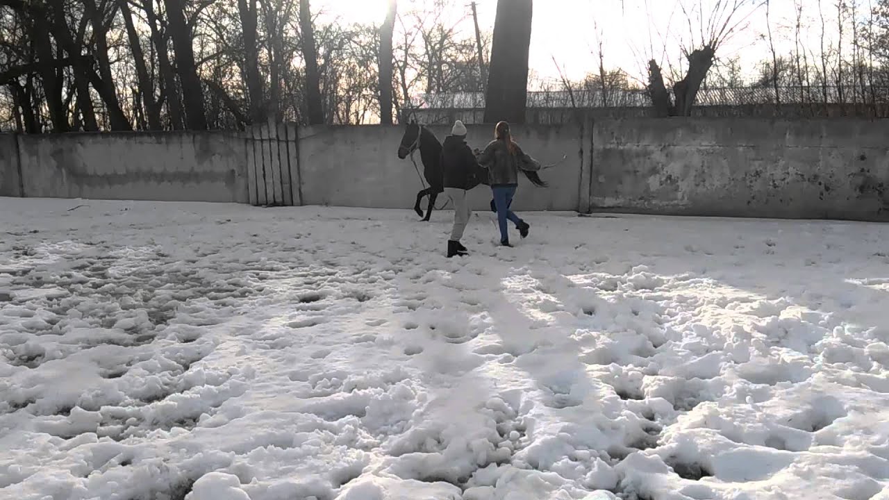 Бэха 5 - YouTube