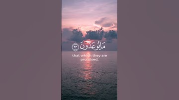القرآن الكريم ☘️ سورة المؤمنون ☘️ الآية (92 ، 93)
