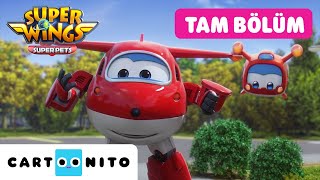 Hari̇ka Kanatlar Kayıp Şehir Vakası Cartoonito Tam Bölüm