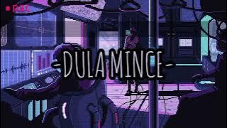 DULA MINCE -Remix Ficky Nong-#viraltiktok