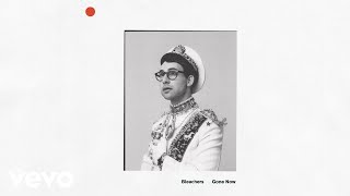Video thumbnail of "Bleachers - Everybody Lost Somebody (Audio)"