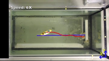 Local Koopman Operators for Data-Driven Control of Robotic Systems