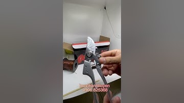 Kéo cắt cành K-8618 chính hãng Kapusi Japan khắc chìm logo và tem 7 màu