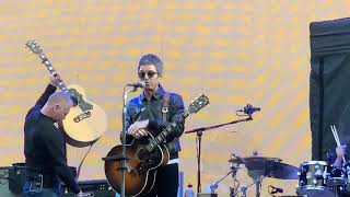 high flying birds 2019 1