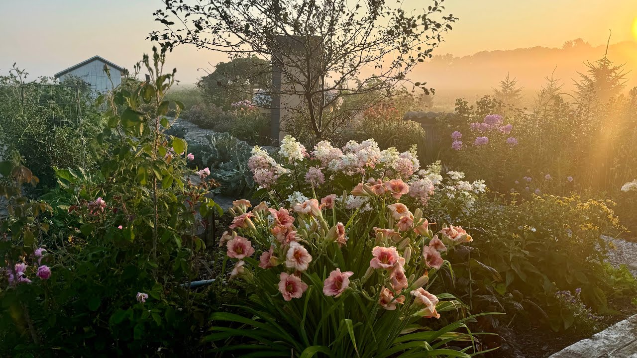 A beautiful walk through the July cut flower garden - YouTube