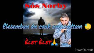 Video voorbeeld van "Sós Norby - Élet Élet (DALSZÖVEG) #subscribe #tvrmusicsósnorby2022"