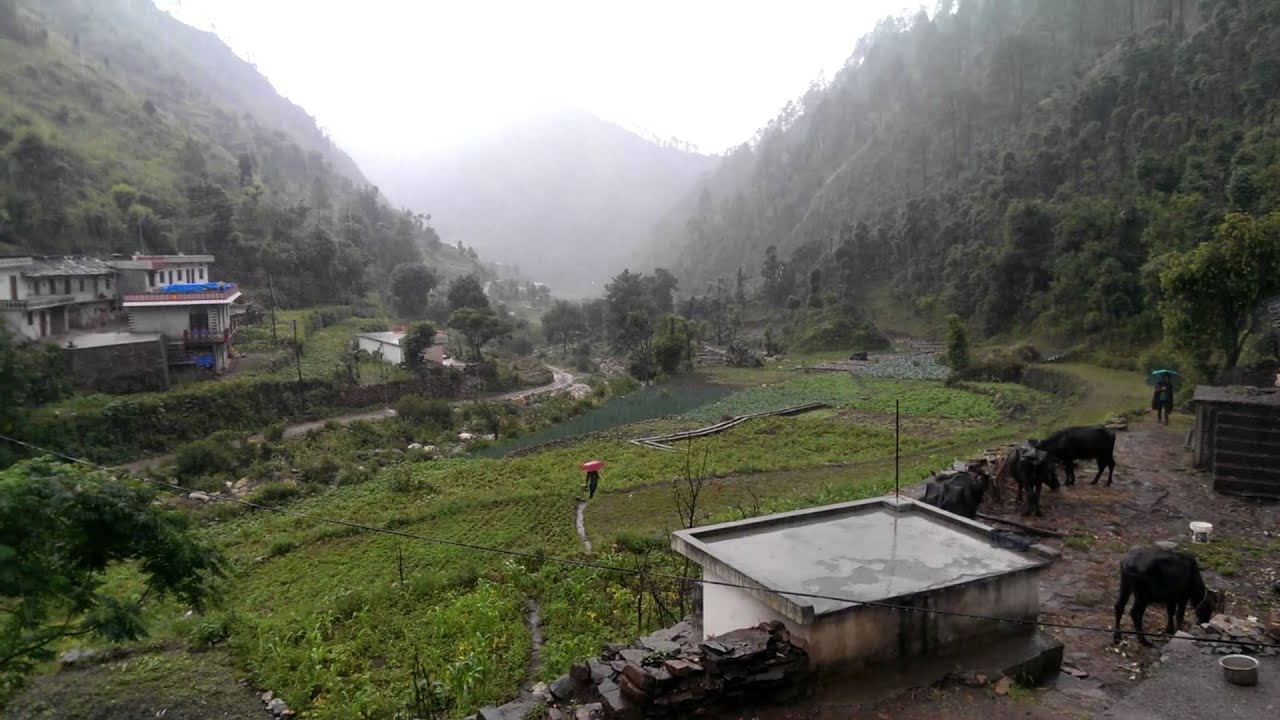 Trip to Organic Farms in Uttarakhand YouTube