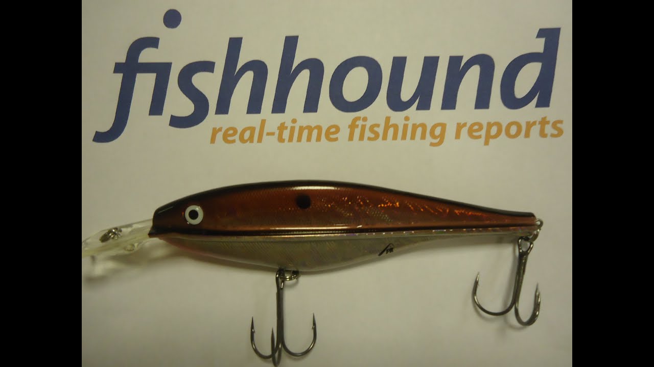Fishhound Product Review: Ridgeline Crank Shad Holographic - YouTube
