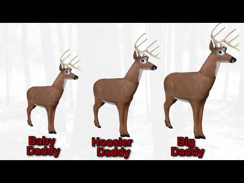 Delta McKenzie Targets   Daddy Buck Series Archery Targets