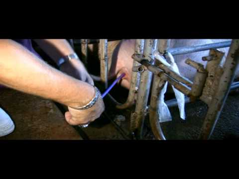 devushkami-vlagalishe-iskusstvennoe-i-kak-im-polzovatsya-video-seksualn