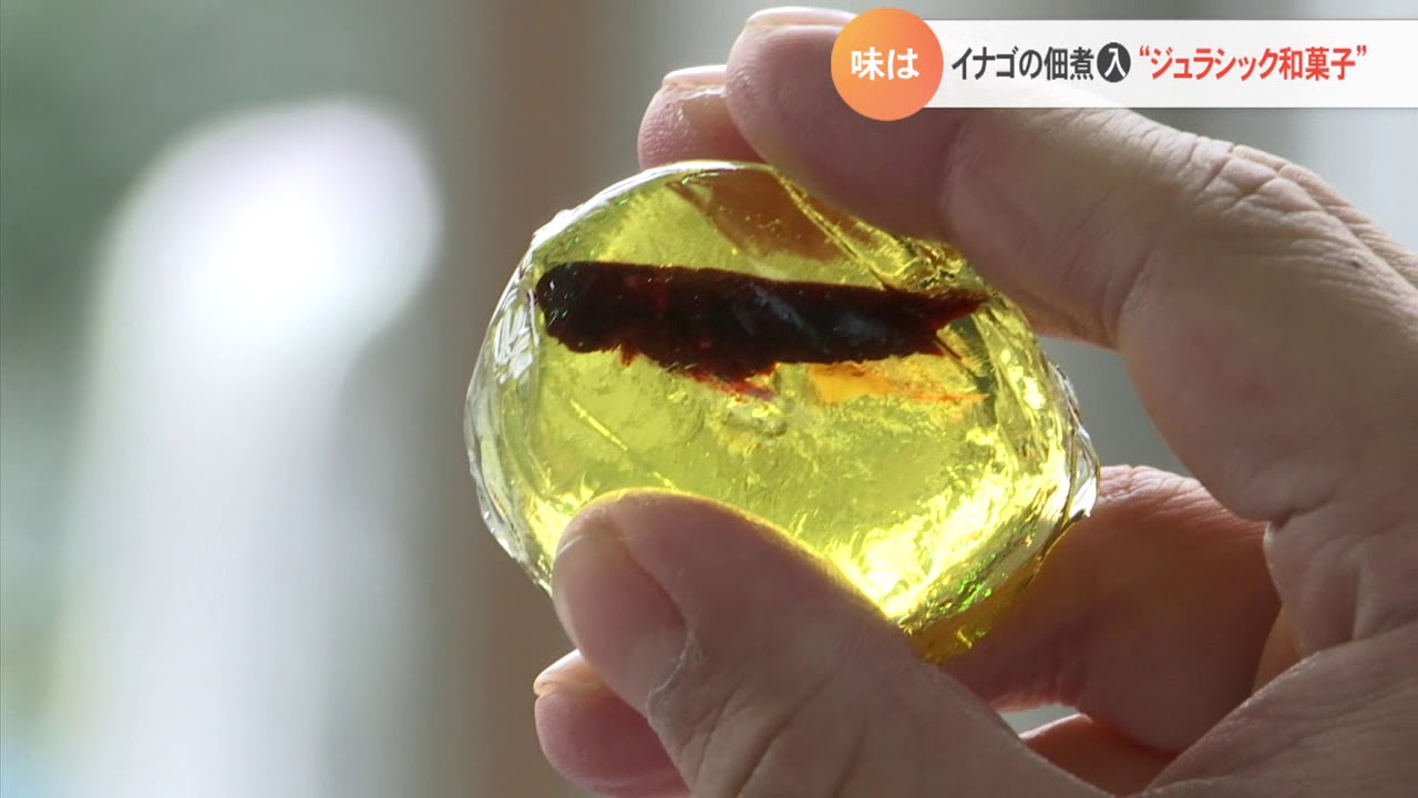 なんとイナゴの佃煮入り！「ジュラシック和菓子」登場…その味は 