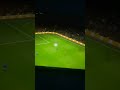 اسطبلات وحصنه كتير على النسياه اسطبلات وحصنه كتير على النسياه