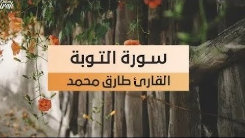 تلاوة هادئة من سورة التوبة بصوت القارئ طارق محمد #سورة_التوبة #طارق_محمد #قرآن #القرآن_الكريم