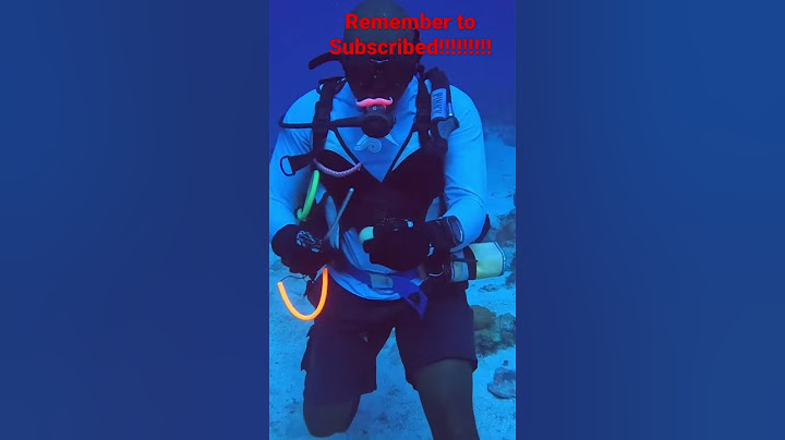 Diver crack egg at 96ft #shortsfeed #shortsvideo #shortvideo #shorts #shortsviral #shorts_ #epic