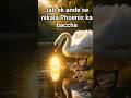 “आग का अंडा: हंस और फिनिक्स की अनोखी कहानी” 🐣🔥#Phoenix #Magic #Viral #Story#Fire#ai #trending #video