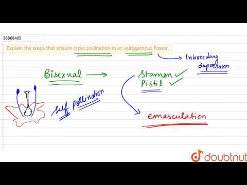 वीडियो: क्रॉस पोलिनेशन को रोकना: क्या आप क्रॉस पोलिनेशन को नियंत्रित कर सकते हैं?