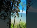 #youtube #shortvideos #foryou #nature #viralvideo #youtubeshorts #canada  #trending #fyp #viral