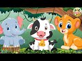 Soothing Animal Videos and Moments: Elephant, Rhinoceros, Leopard, Chameleon - Animal Videos